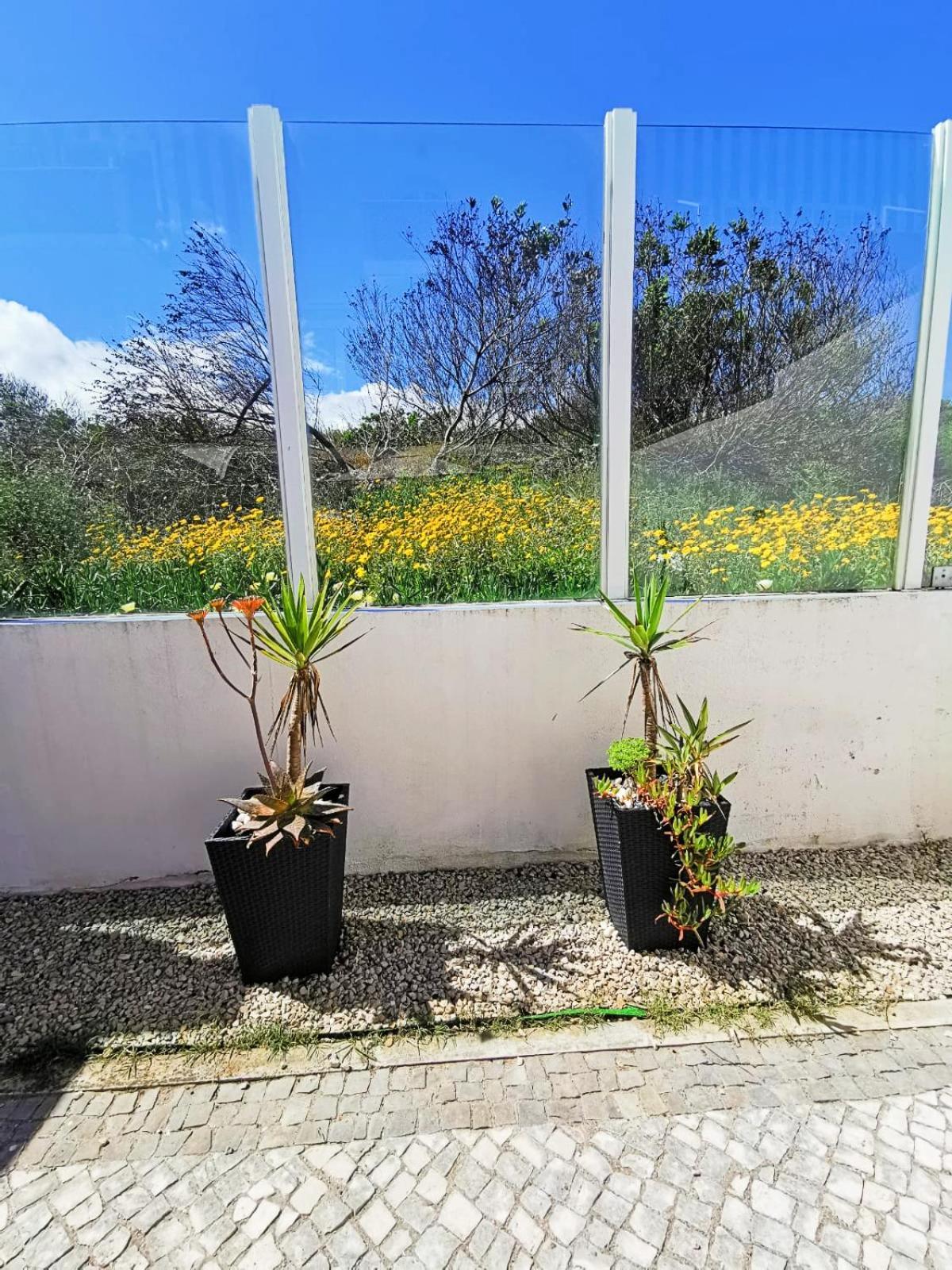 Cc - Casa Da Costa Leilighet Costa Nova Eksteriør bilde